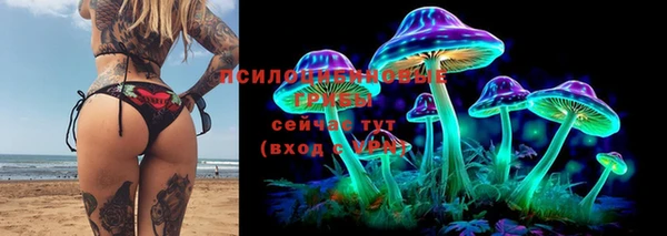 a pvp Алексин