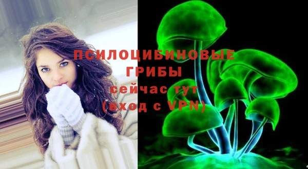 a pvp Алексин